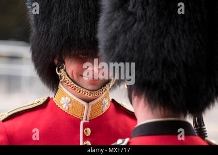 soldiers bearskin hats