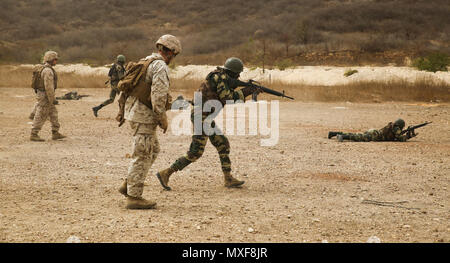 Members of Senegal’s Compagnie Fusilier de Marin Commando fire down ...