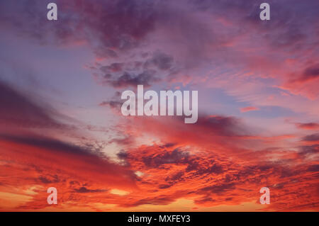 View of the crimson sunset and amazing clouds in the sky. Stock Photo