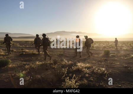 FORT IRWIN, Calif. – Troopers Of Assassin Troop, 1st Squadron, 11th ...