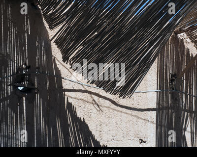 Canopy of thin cane, from the canopy falls shadow, a modern trend photo of the decoration of the wall. Stock Photo