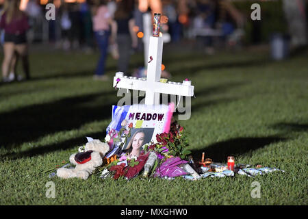 Parkland, FL, USA. 16th Feb, 2018. A young women places flowers at a memorial site that honors victims of the mass shooting at Marjory Stoneman Douglas High School, at Pine Trail Park on February 16, 2018 in Parkland, Florida. Police arrested 19-year-old former student Nikolas Cruz for killing 17 people at the high school. People: Atmosphere Credit: Hoo Me.Com/Media Punch/Alamy Live News Stock Photo
