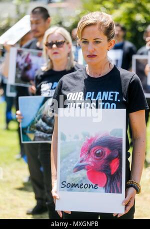 Los Angeles, USA. 3rd June, 2018. Animal right activists gather and recite the declaration of animal rights to mark National Animal Rights Day in Los Angeles, the United States, June 3, 2018. Credit: Zhao Hanrong/Xinhua/Alamy Live News Stock Photo