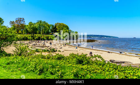 Hadden Park Dog Beach in the False Creek area is a beautiful sunny day activity in the famous and beautiful city of Vancouver, British Columbia Canada Stock Photo