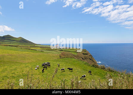 A view on lighthouse of Ponta da Ferraria and meadows with cows on Sao Miguel Island of Azores, Portugal. Picturesque hilly landscape of western part  Stock Photo