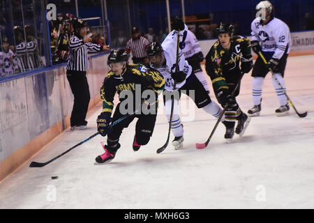 DVIDS - Images - Army skates to 9-2 victory over Air Force in Fairbanks  [Image 14 of 19]