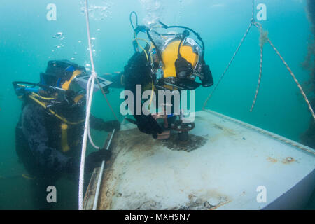 Petty Officer 3rd Class Sean Black, assigned to Mobile Diving Salvage Unit (MDSU) 1, and a Royal Australian Navy Diver, prepare for an underwater welding exercise during Exercise Dugong 2016, in Sydney, Australia, Nov. 9, 2016. Dugong is a bi-lateral U.S Navy and Royal Australian Navy training exercise, advancing tactical level U.S. service component integration, capacity, and interoperability with Australian Clearance Diving Team (AUSCDT) ONE. (U.S. Navy Combat Camera photo by Petty Officer 1st Class Arthurgwain L. Marquez) Stock Photo