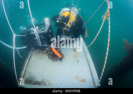 Petty Officer 3rd Class Sean Black, assigned to Mobile Diving Salvage Unit (MDSU) 1, prepares for an underwater welding exercise during Exercise Dugong 2016, in Sydney, Australia, Nov. 9, 2016. Dugong is a bi-lateral U.S Navy and Royal Australian Navy training exercise, advancing tactical level U.S. service component integration, capacity, and interoperability with Australian Clearance Diving Team (AUSCDT) ONE. (U.S. Navy Combat Camera photo by Petty Officer 1st Class Arthurgwain L. Marquez) Stock Photo