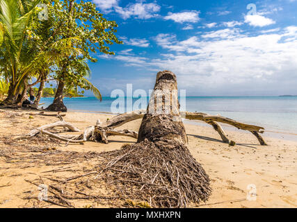 Starfish Beach panama. Stock Photo