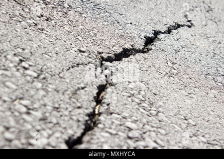 Close detail of a pavement crack in a park. Picture taken at surface level. Stock Photo