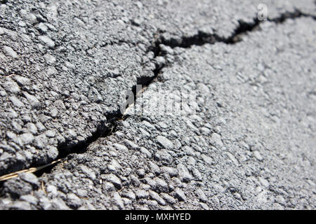 Close detail of a pavement crack in a park. Picture taken at surface level. Stock Photo