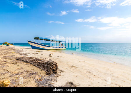 Starfish Beach panama. Stock Photo