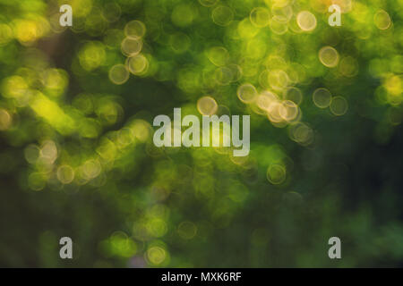 Blured bokeh background trioplan. Vintage lens. Stock Photo