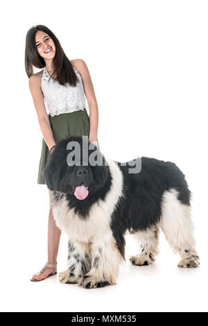 newfoundland dog and woman in front of white background Stock Photo