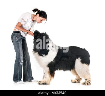 newfoundland dog and woman in front of white background Stock Photo