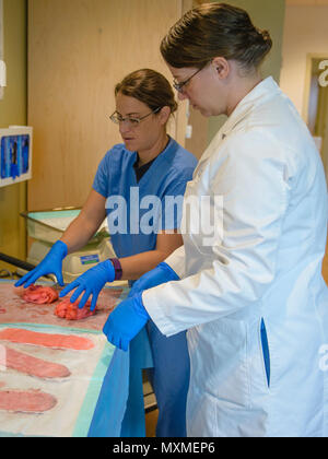 U.S. Navy Lt. Cmdr. Rozalyn Love, right, an obstetrics and gynaecology (OB/GYN) Staff Physician with U.S. Naval Hospital Guam (USNH Guam), advises Lt. Jessica Dalrymple, a staff nurse with USNH Guam's Mother Baby Unit, during quantative measurement of blood loss during postpartum hemorrhage training, Nov. 16, 2016.  The materials used to collect blood is weighed before use. The original weight is then subtracted from the new weight, which allows staff to more accurately determine the amount of blood loss and begin treatment at an earlier stage. (U.S. Navy photo by USNH Guam Public Affairs/Rele Stock Photo