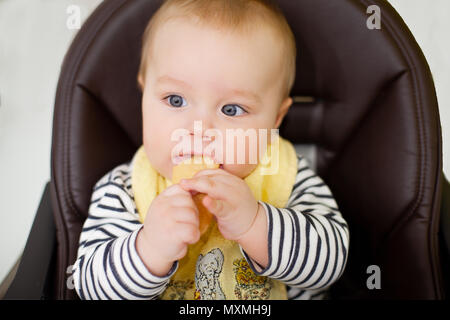 little baby boy sitting in chair for feeding and eating special biscuit for babies. Kitchen. Indoor Stock Photo