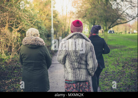 An older woman with two young women is walking in the park in winter Stock Photo