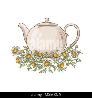 chamomile tea in teapot illustration on white background Stock Vector