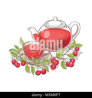 cherry tea vector illustration on white background Stock Vector