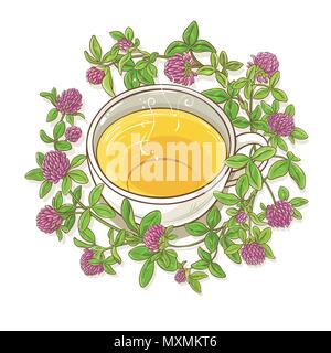 cup of clover tea illustration on white background Stock Vector