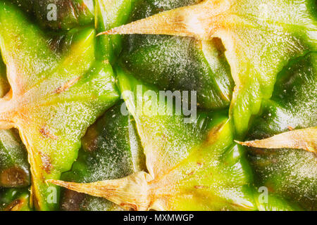 Pineapple skin detail ,bright surtace ,green yellow color shading ,abstract effect ,macro photo Stock Photo