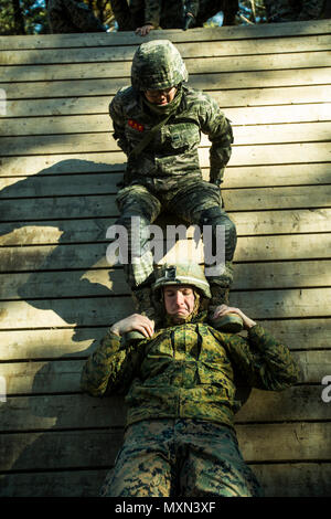 PFC Subin Kim lands on Cpl. Gregory Mitzkovitz’s shoulders to get across the obstacle during Korean Marine Exercise Program 17-1 Nov. 24, 2016 at the Leadership Reaction Course at Camp Mujuk, Republic of Korea.  KMEP is carried out in the spirit of the Republic of Korea-U.S. Mutual Defense Treaty signed between the two nations Oct. 1, 1953. Kim is a rifleman with 7th Battalion, 1st Marine Division, ROK Marine Corps. Mitzkovitz is a rifleman from Ocala, Florida and is assigned to 3rd Battalion, 2nd Marine Regiment, which is forward deployed from Camp Lejeune, North Carolina, to 3rd Marine Divis Stock Photo