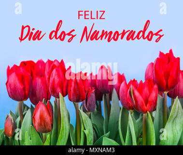 Feliz Dia Dos Namorados banner. Happy Valentine s Day in Portuguese.  Brazilian holiday on June 12. Vector template for greeting card, poster,  etc Stock Vector Image & Art - Alamy