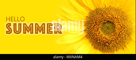 Sunflower close up details on yellow banner wide background macro ...