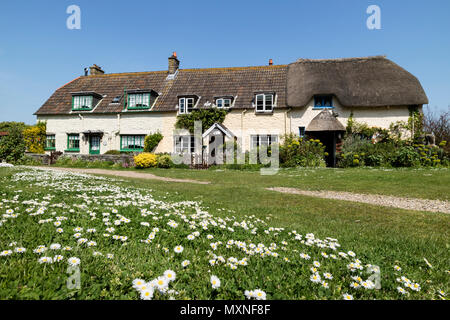 Daisy Lawn and Gibraltar Cottages in the Spring, Porlock Weir, Somerset, UK Stock Photo