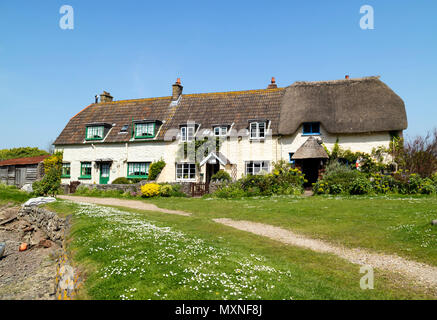 Daisy Lawn and Gibraltar Cottages in the Spring, Porlock Weir, Somerset, UK Stock Photo