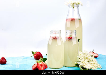 Kombucha tea with elderflower and strawberry on blue background. . Homemade fermented infused drink. Summer Healthy natural probiotic flavored drink.  Stock Photo