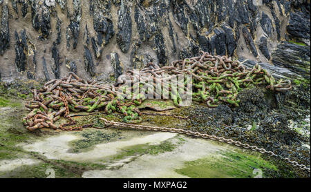 Old, rusty iron chain covered in seaweed on  a harbour. Stock Photo
