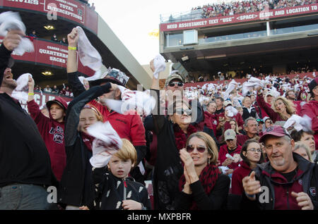 University of South Carolina fans go craze moments after the