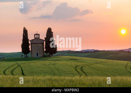 Old church of Vitaleta at sunset with trees either side at San Quirico d'Orcia, near Pienza, Tuscany, Italy in May - Chapel of the Madonna di Vitaleta Stock Photo