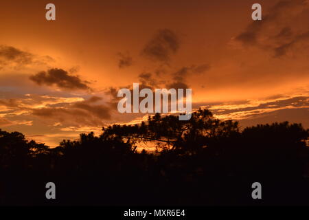 A Time-lapse Sunset, creating an impressively beautiful,  phenomenal and colourfully scarlet Landscape over the Cordilleras Mountains pine forest. Stock Photo