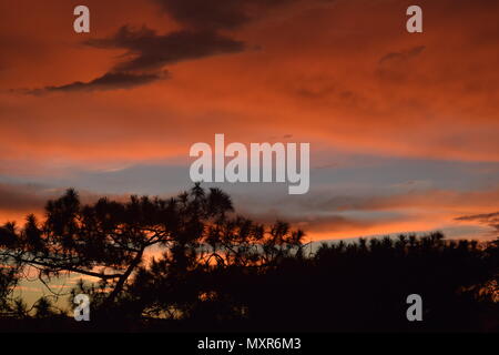 A Time-lapse Sunset, creating an impressively beautiful,  phenomenal and colourfully scarlet Landscape over the Cordilleras Mountains pine forest. Stock Photo