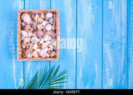 Blue wooden background, many different shells. Free space for text. Copy space, flat lay Stock Photo