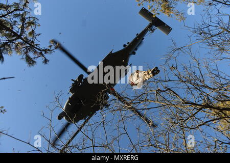 WESTHAMPTON BEACH, NY - Senior Airman Alexander Traini, a Survival, Evasion, Resistance and Escape (SERE) Specialist with the 106th Rescue Wing conducts a personnel recovery training mission  at F.S. Gabreski Air National Guard Base on December 4th, 2016.    During the training mission, nn HH-60 Pavehawk with the 101st Rescue Squadron and Pararescue Jumpers with the 103rd Rescue Squadron searched for Triani, who portrated a downed F-16 Pilot.    (US Air National Guard / Staff Sergeant Christopher S. Muncy / released) Stock Photo