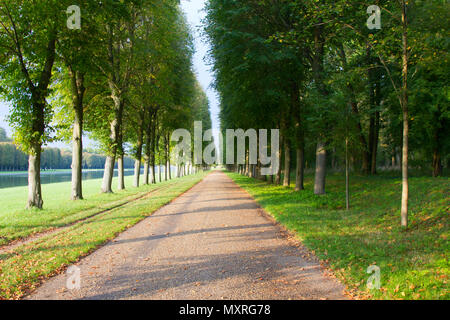 alley for some superb walks. Versailles. Stock Photo