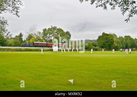 A 'Terrier' Steam loco with Victorian carriages on the Rother Valley Railway ( Kent and east sussex ) passes a cricket match at Robertsbridge Stock Photo