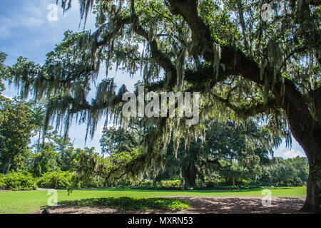 Airlie Gardens in Wilmington North Carolina shows off the beauty of the ...