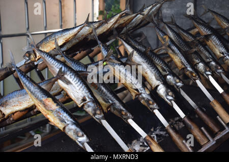 grilled fish, grilled mackerels on metal stick Stock Photo