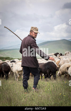 Areni, Armenia, 2nd June, 2018: armenian man herding his sheep in a countryside Stock Photo