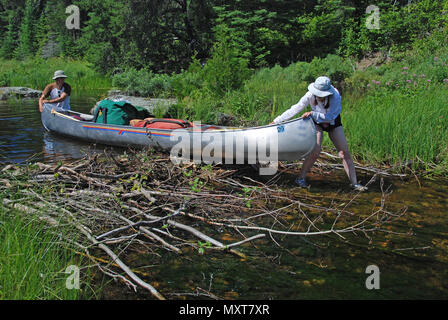 These canoers are pulling their canoe across a beaver dam to get to Slate Lake Stock Photo