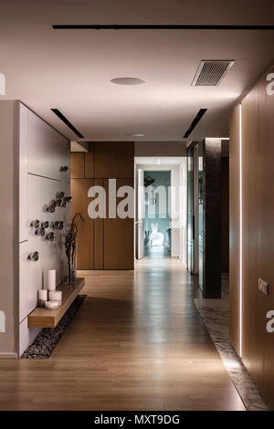 Contemporary hall with different luminous lamps, light walls and a parquet on a floor. There is a wall decorated with chrome birds, wooden lockers, st Stock Photo