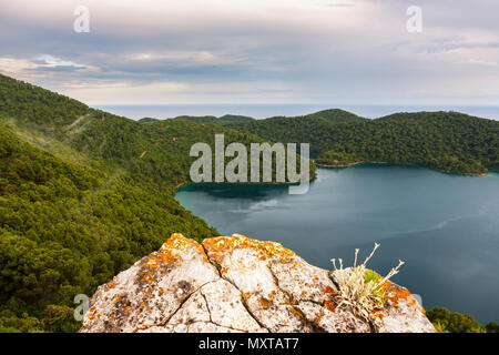 Veliko Jezero: a large lake in Mljet National Park, Otok Mljet, Dubrovnik-Neretva, Croatia, seen from Veliki Gradac Stock Photo