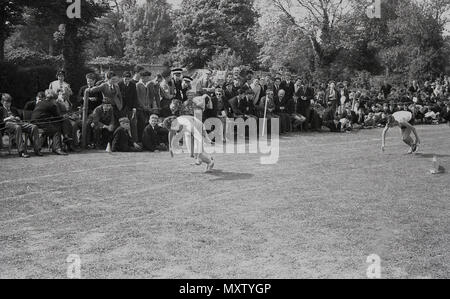 1960, historical picture of secondary school children taking part in a inter-school county sports day, Dorset, England, UK. Here we see two  boys crouching down in position about to start a race on a grass track, with watching spectators close by. Stock Photo