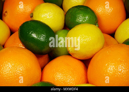 Delicious view of a pack of citrus, limons, oranges and limes filling the frame. Stock Photo