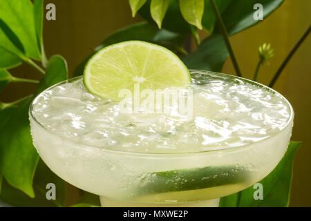 Top view of a delicious Margarita cocktail with ice, salt and a peace of lime. Green plants background.  Perfect for a nice warm summer. Stock Photo